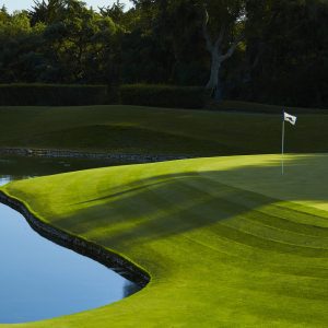 HOYO_17_-_RCV HOYO_17_-_RCV